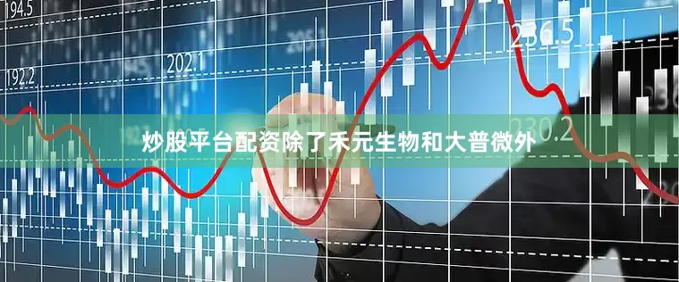 炒股平台配资除了禾元生物和大普微外