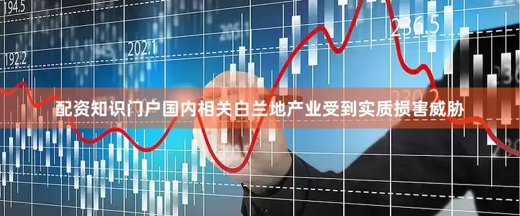 配资知识门户国内相关白兰地产业受到实质损害威胁