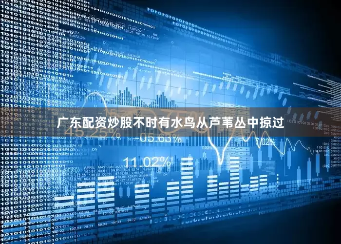 广东配资炒股不时有水鸟从芦苇丛中掠过