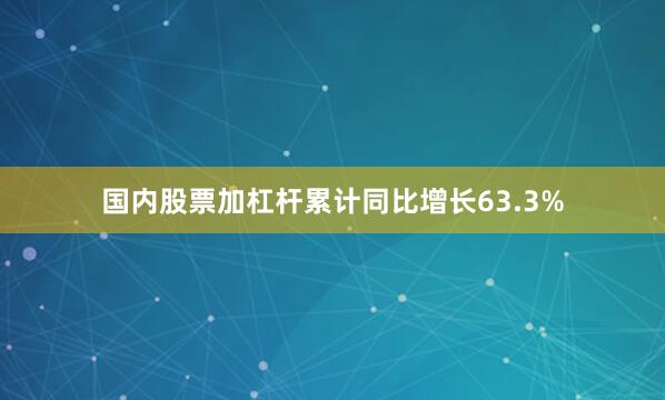 国内股票加杠杆累计同比增长63.3%