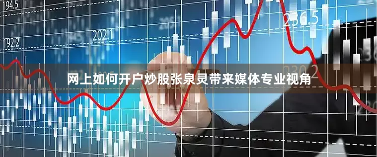网上如何开户炒股张泉灵带来媒体专业视角