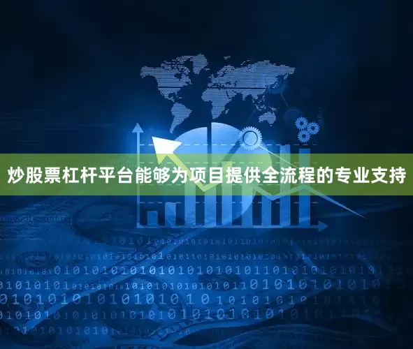 炒股票杠杆平台能够为项目提供全流程的专业支持